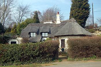 Birdcatchers Cottage March 2012
